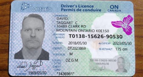 Validation period 5 years. . Fake license canada